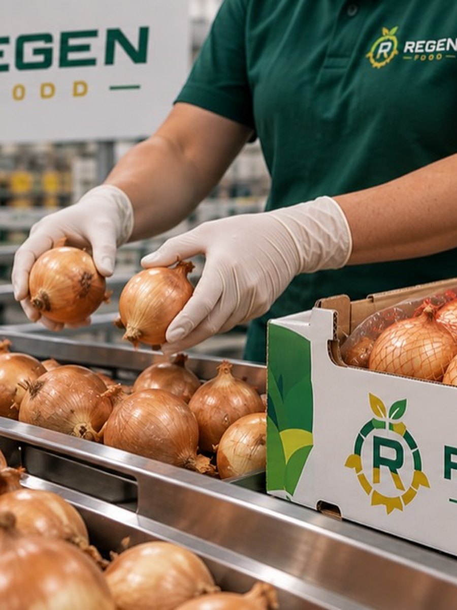 Regen Gıda paketleme tesisi: eldivenli personel ürünü markalı koliye yerleştiriyor